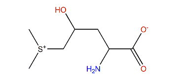 5-Dimethylsulfonio 2-amino-4-hydroxypentanoate